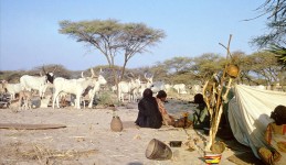 Is combating desertification a global public good?