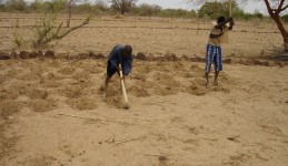 Restoring Natural Capital in Arid and Semi-arid Regions
