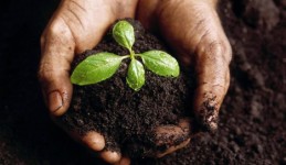Is biochar “green”?