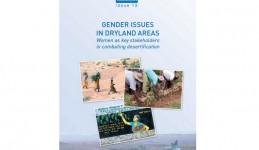 English version of the last CSFD dossier on gender issues in drylands areas