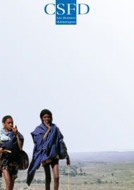 Is combating desertification a global public good?
