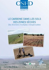 Le carbone dans les sols des zones sèches