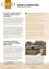Carbon in dryland soils
