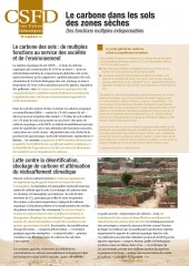Le carbone dans les sols des zones sèches