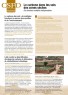 Le carbone dans les sols des zones sèches