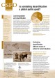 Is combating desertification a global public good?