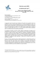 Le biochar est-il vert ?