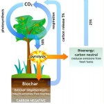 biochar