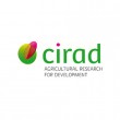 CIRAD