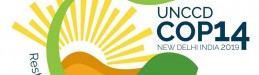 The French Scientific Committee on Desertification at UNCCD COP14 