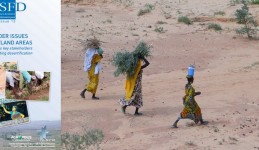 English version of the last CSFD dossier on gender issues in drylands areas