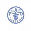 FAO