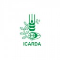 ICARDA