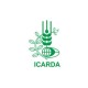 ICARDA