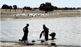 Desertification and land degradation trend indicators