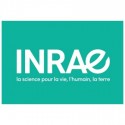 Inrae