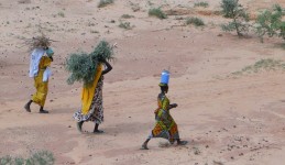 Gender issues in arid zones