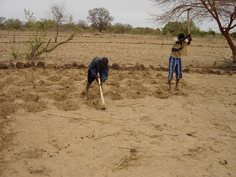 ZaÔ au Burkina Faso