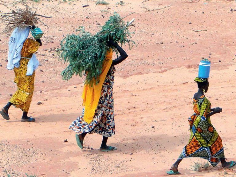 English version of the last CSFD dossier on gender issues in drylands areas