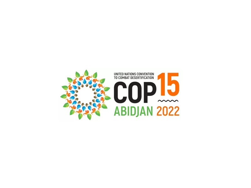 cop-abidjan-2022