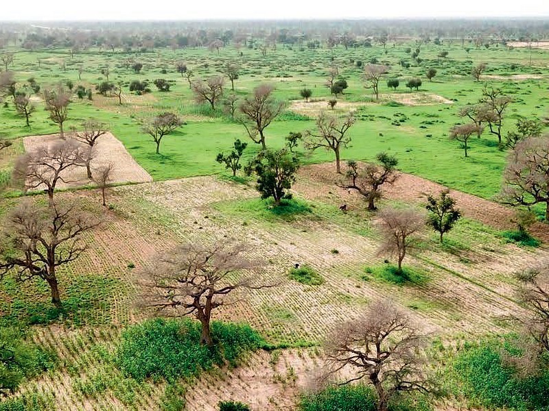 2030 – Making the Great Green Wall in the Sahel a success; scientific research in action