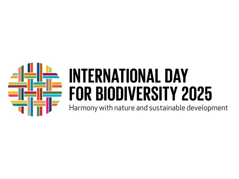 logo journée mondiale diversite 2025-ang